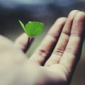Deepening Understanding of the Bible: Strengthening Your Faith and Growing Closer to God
