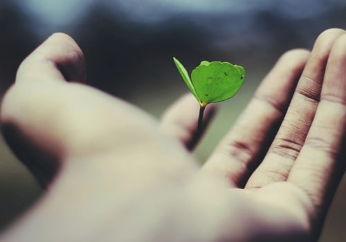 Deepening Understanding of the Bible: Strengthening Your Faith and Growing Closer to God